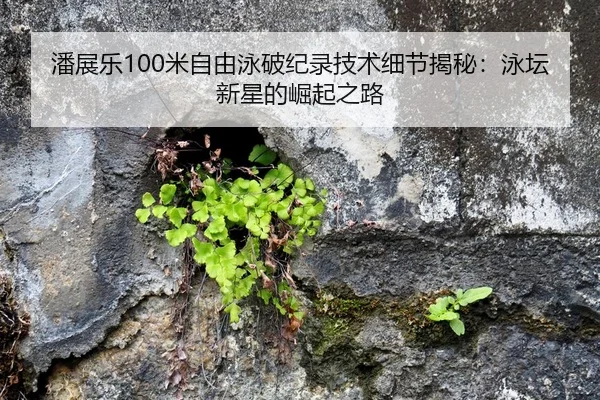 潘展乐100米自由泳破纪录技术细节揭秘：泳坛新星的崛起之路