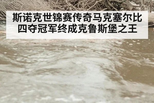 斯诺克世锦赛传奇马克塞尔比四夺冠军终成克鲁斯堡之王